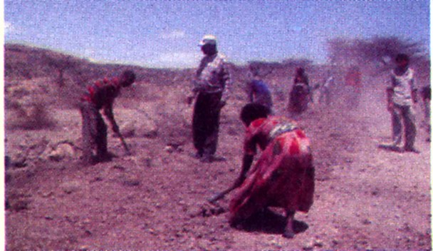 Community members building a park access road by hand